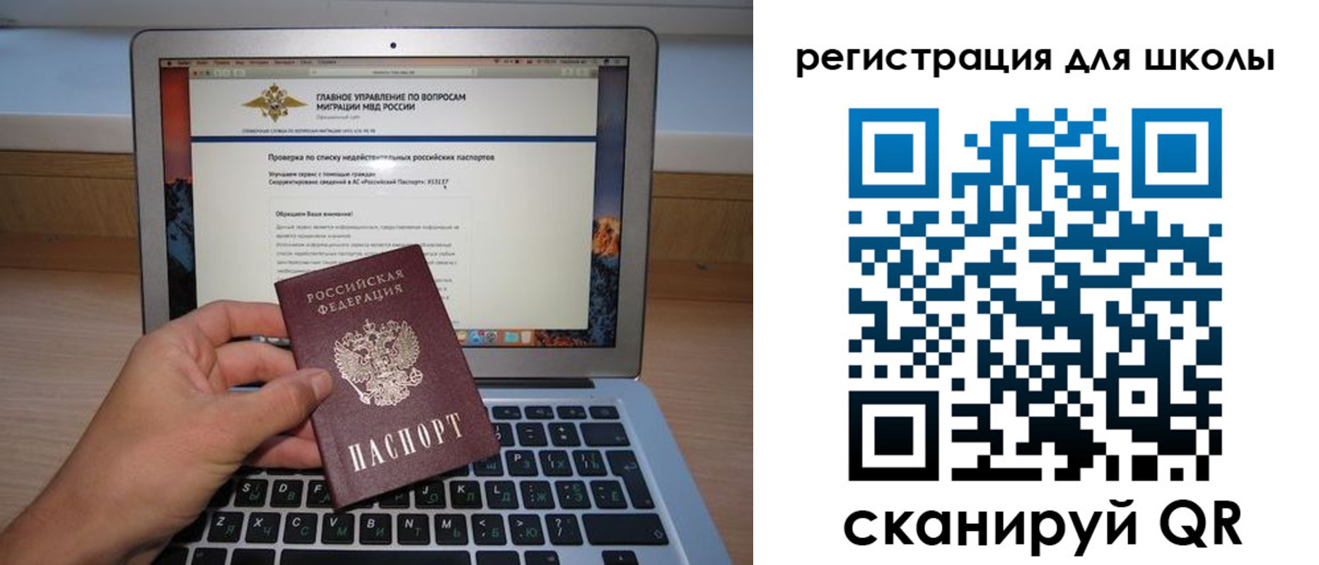 прописка поиск в Кингисеппе
